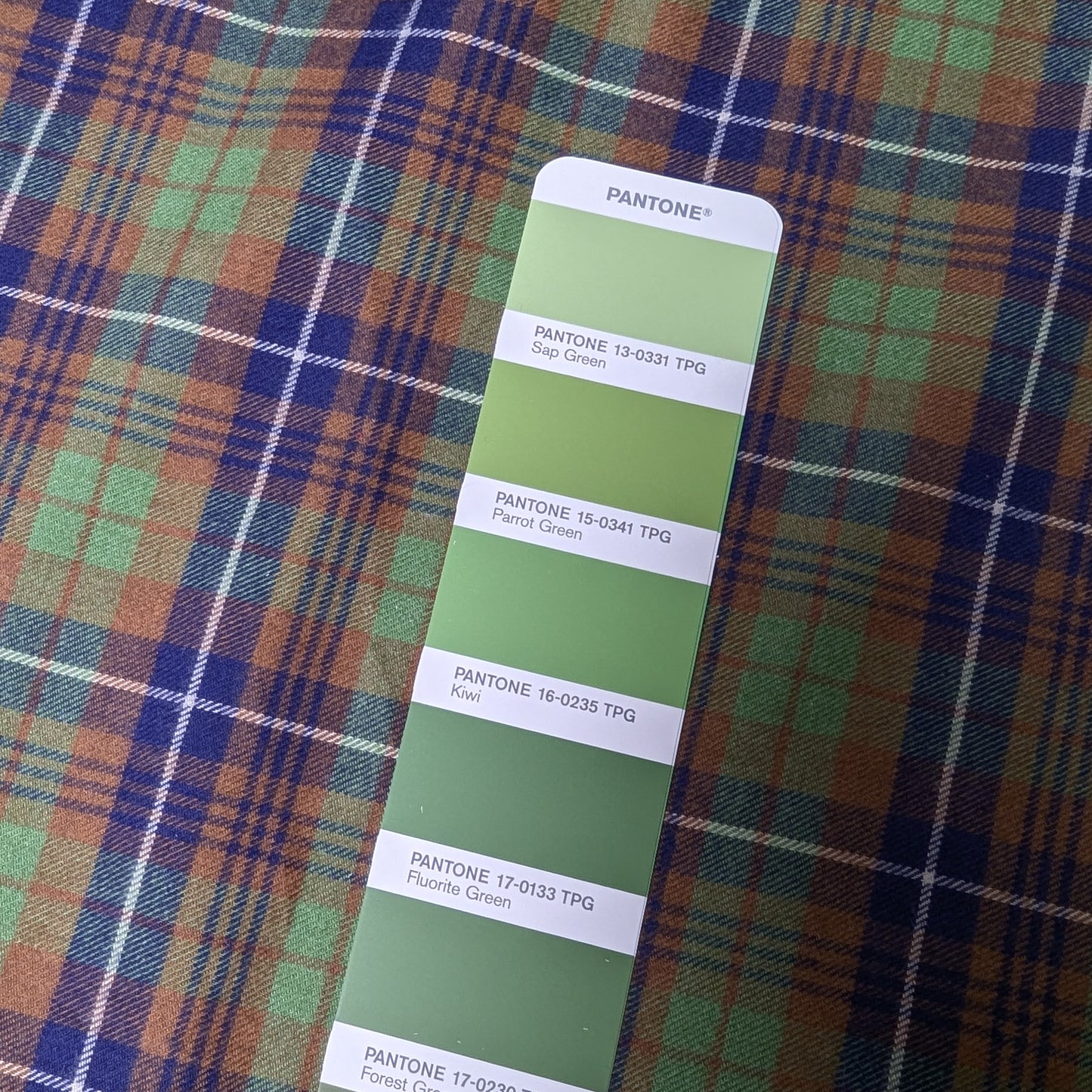 Meterware · Flanell · Baumwolle · Pantone Kiwi · 150 cm