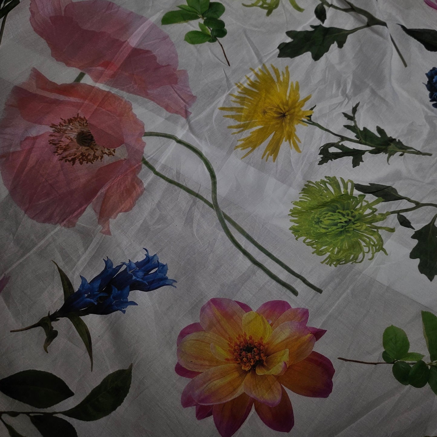 Baumwolle, Voile, Pantone Blanc de Blanc · 140 cm