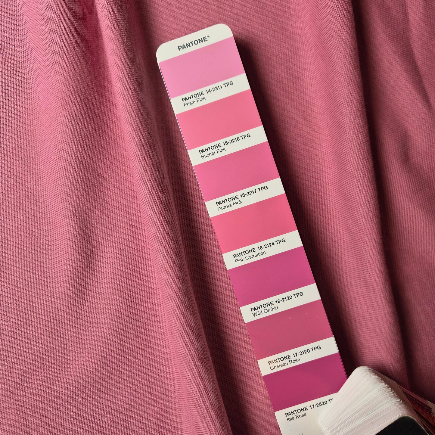 Meterware · French Terry, Baumwolle, Pantone Sachet Pink · 200 cm