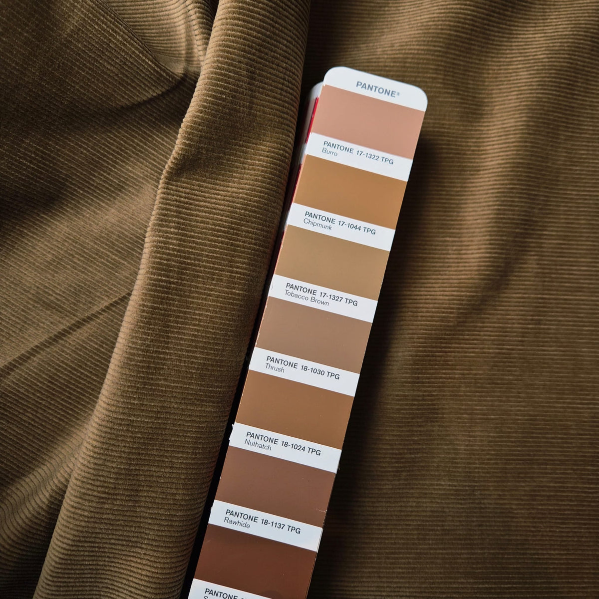 Meterware · Cord · Baumwolle · Uni · Pantone Tabacco · 200 g/m²