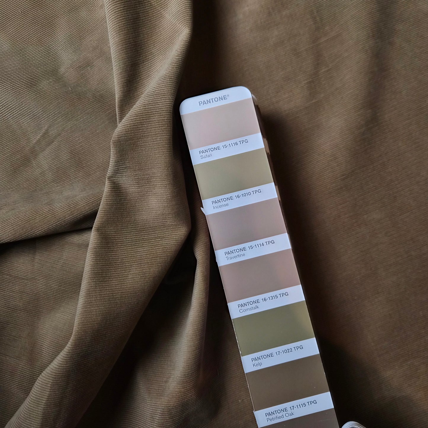 Meterware · Cord · Baumwolle · Uni · Pantone Incense · 150 cm