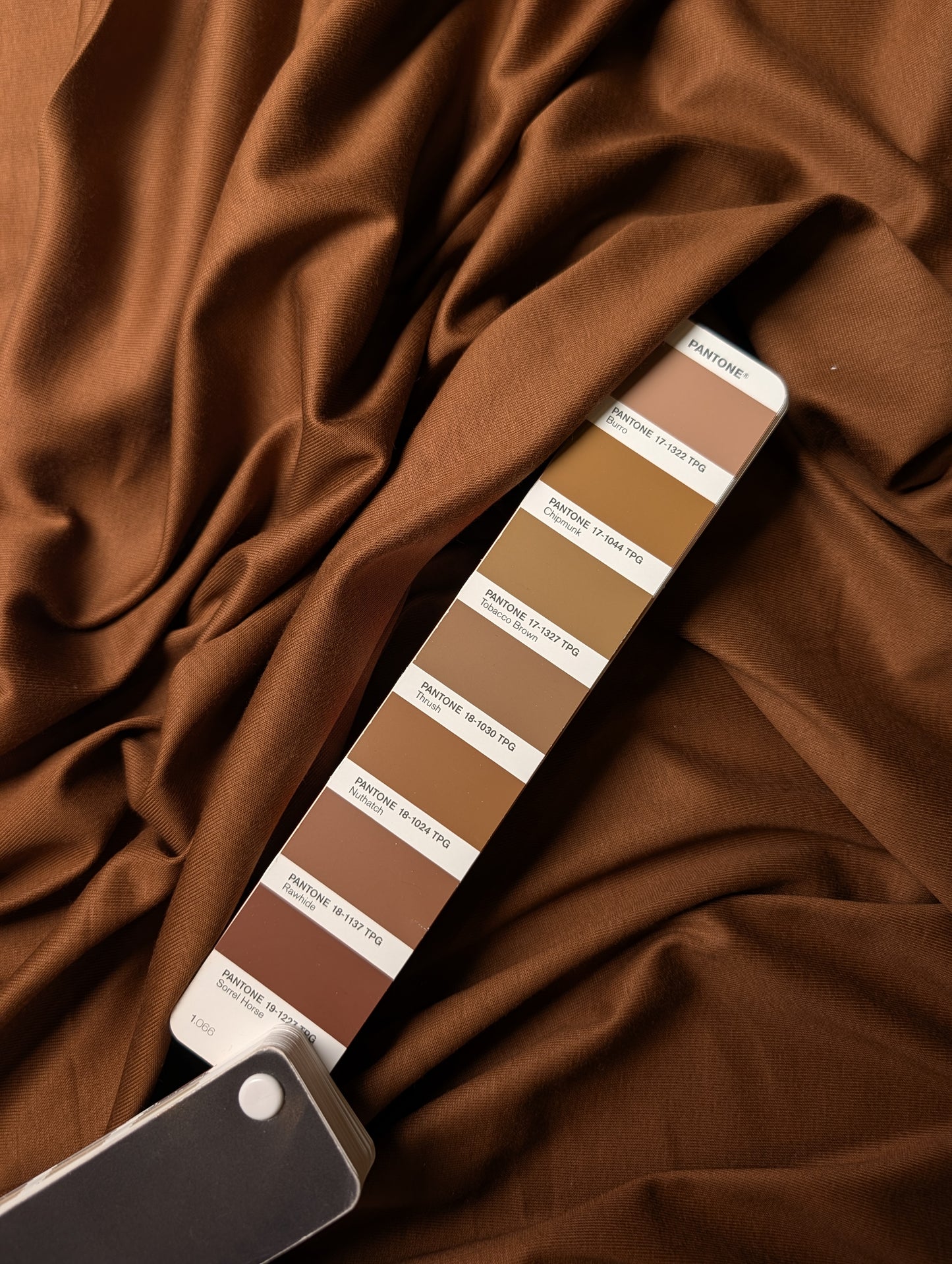 Jersey · Mercerisiert · Baumwolle · Uni · Pantone Rawhide · 170 cm · Meterware