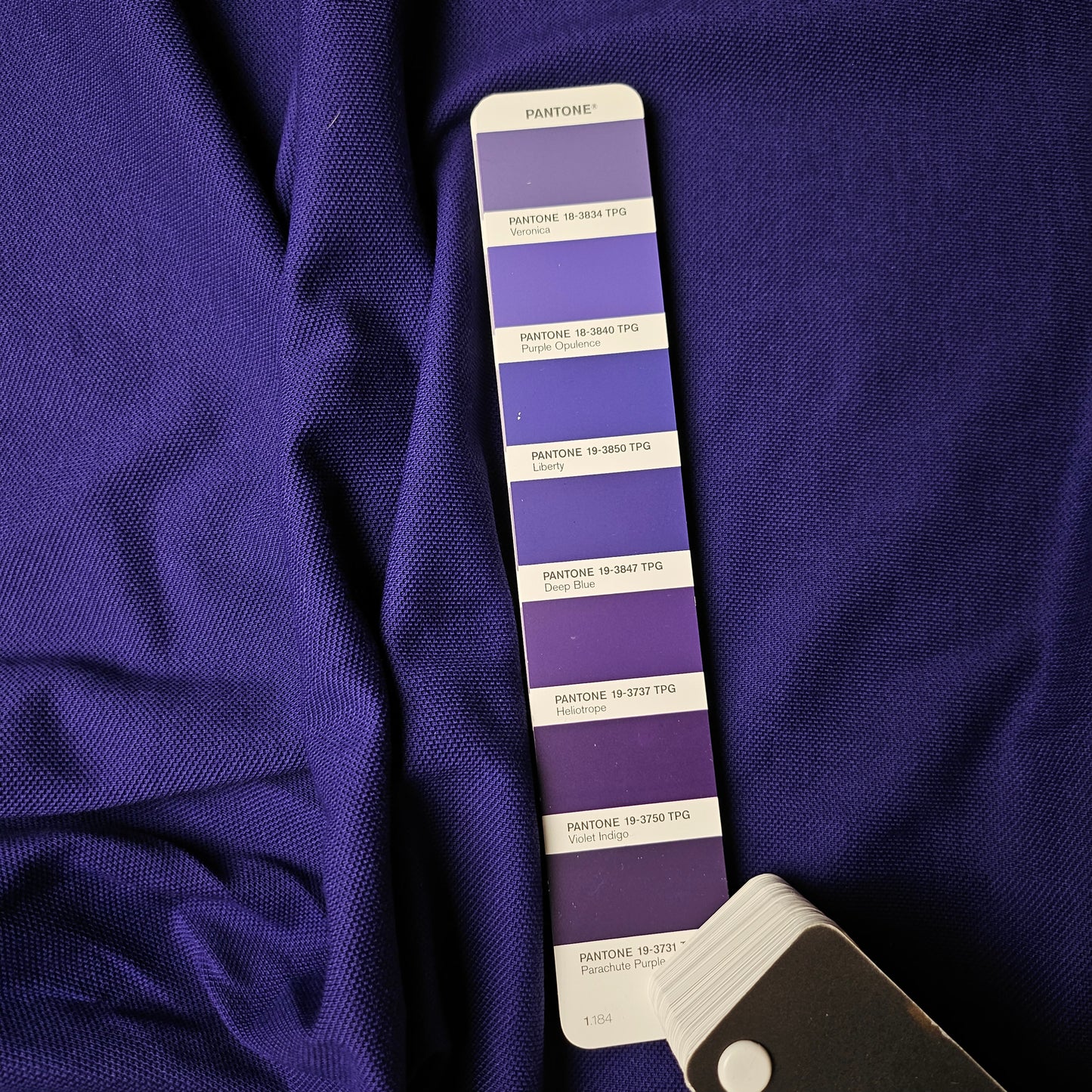 Piqué · Baumwolle · Uni · Pantone Londoner Traditionskaufhaus mit Blumen-Prints · 190 cm · Meterware
