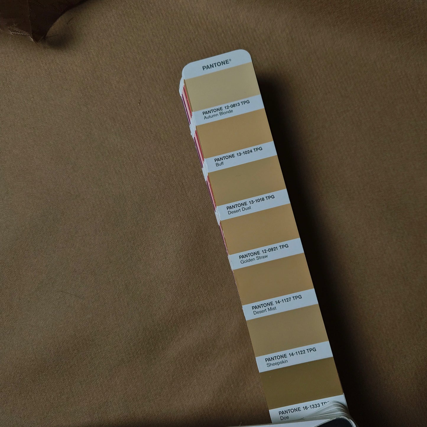 Kombipaket · Mantelstoff · Kaschmir · Pantone Sheepskin · Stoff 220×150 cm + Viskosefutter 200×140 cm