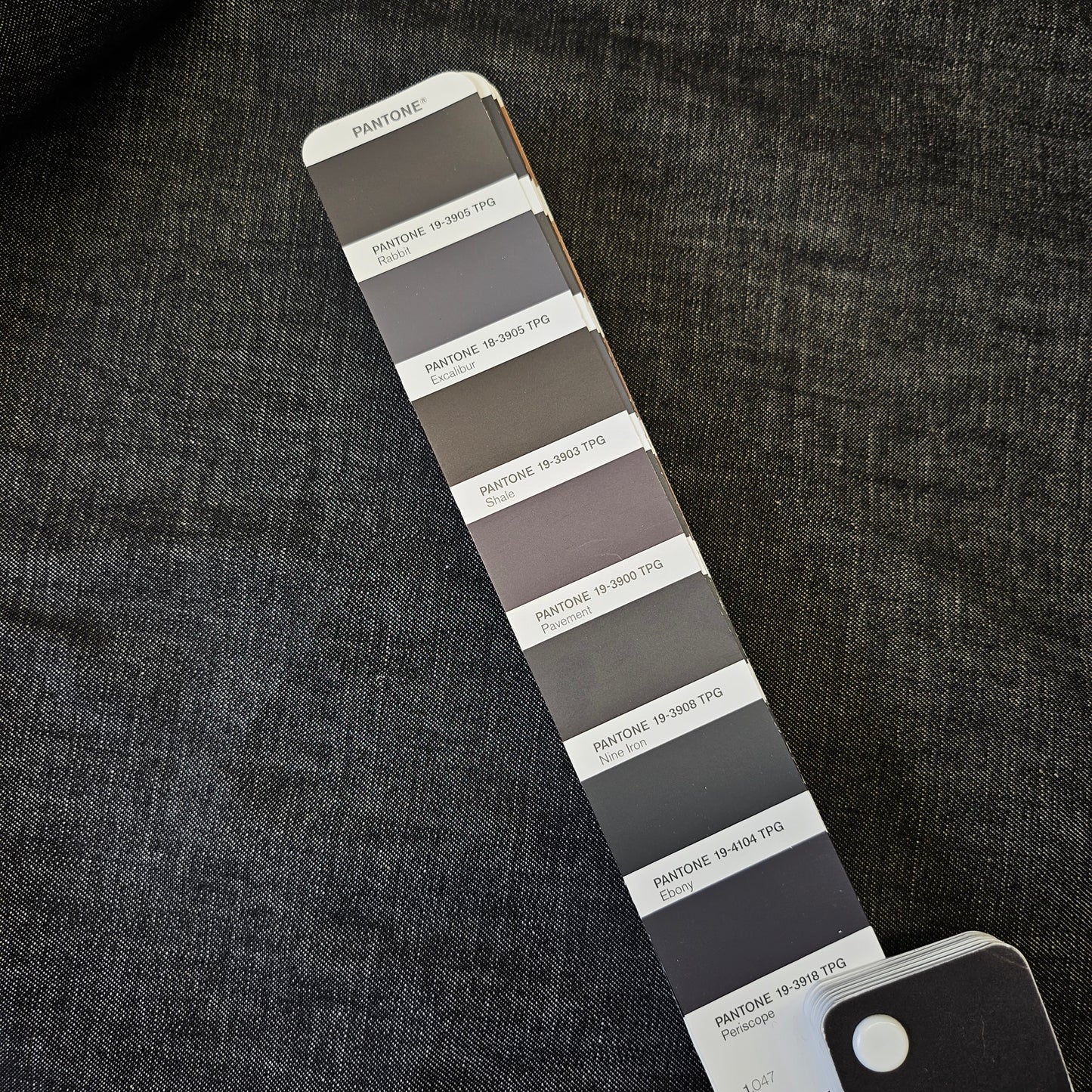 Baumwolle, Ebony · 155 cm 240g/m2