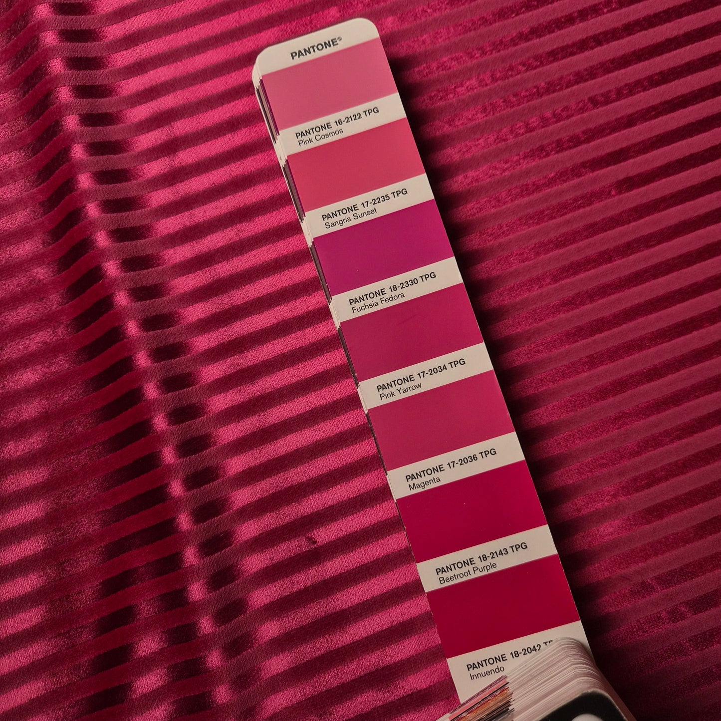 Samt · Baumwolle 64%, Viskose 36% · Gestreift · Pantone Beetroot Purple · 145 cm · 450 g/m² · Meterware