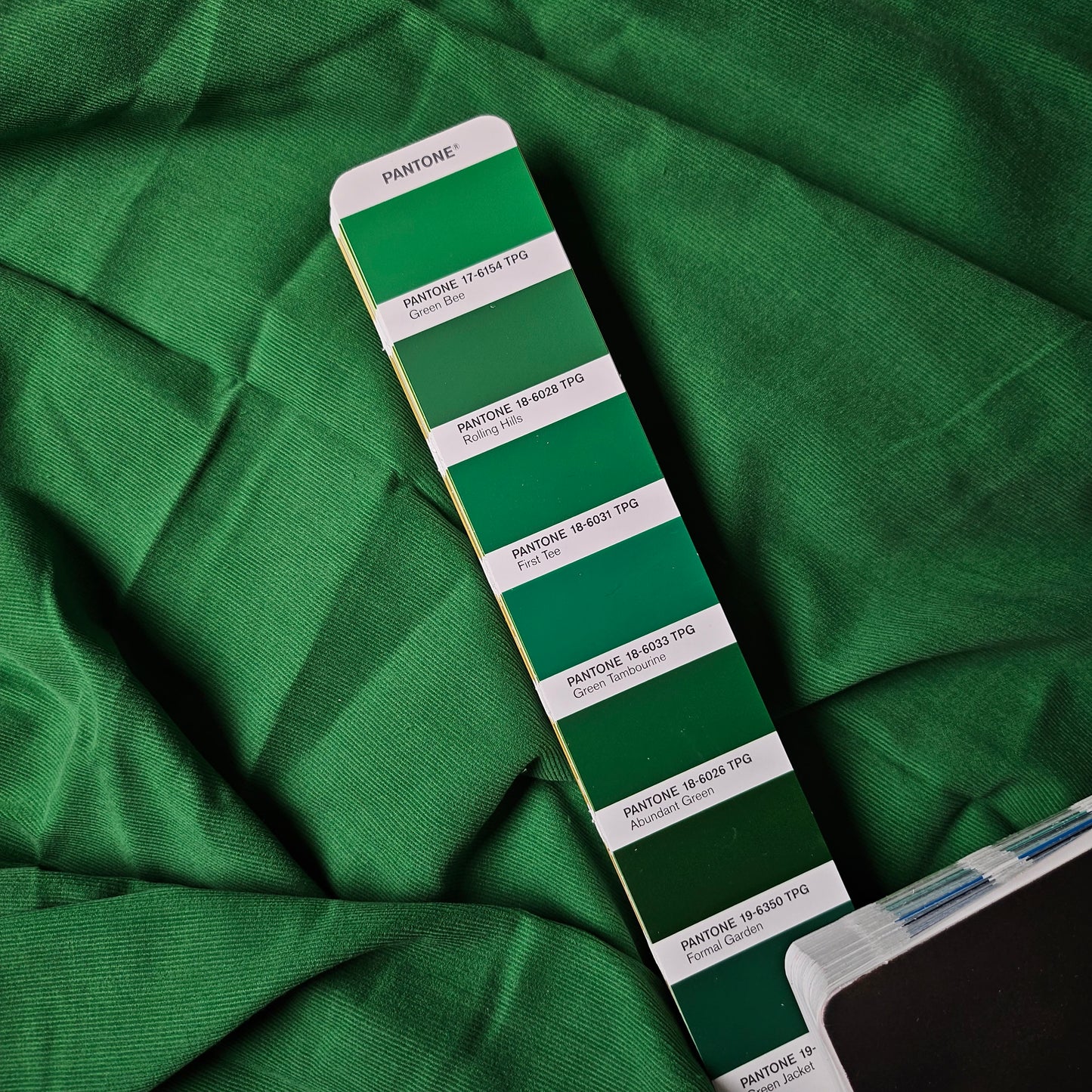 Baumwolle, Cord, Green Bee · 80×150 cm