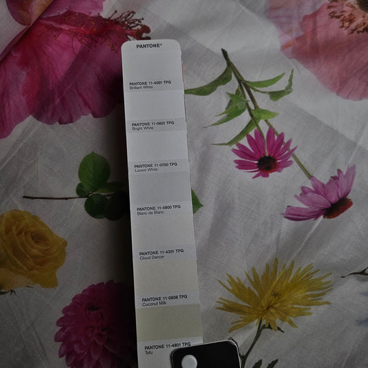 Baumwolle, Voile, Pantone Blanc de Blanc · 140 cm