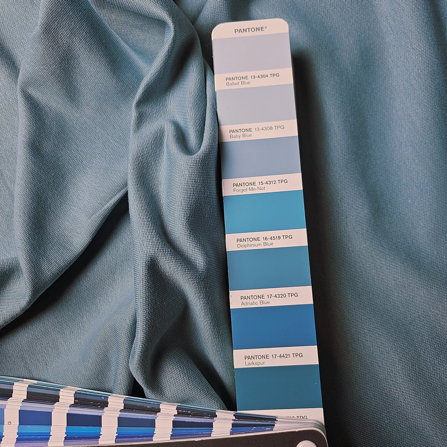 Meterware · Sweat · Baumwolle · Pantone Forget-Me-Not · 170 cm