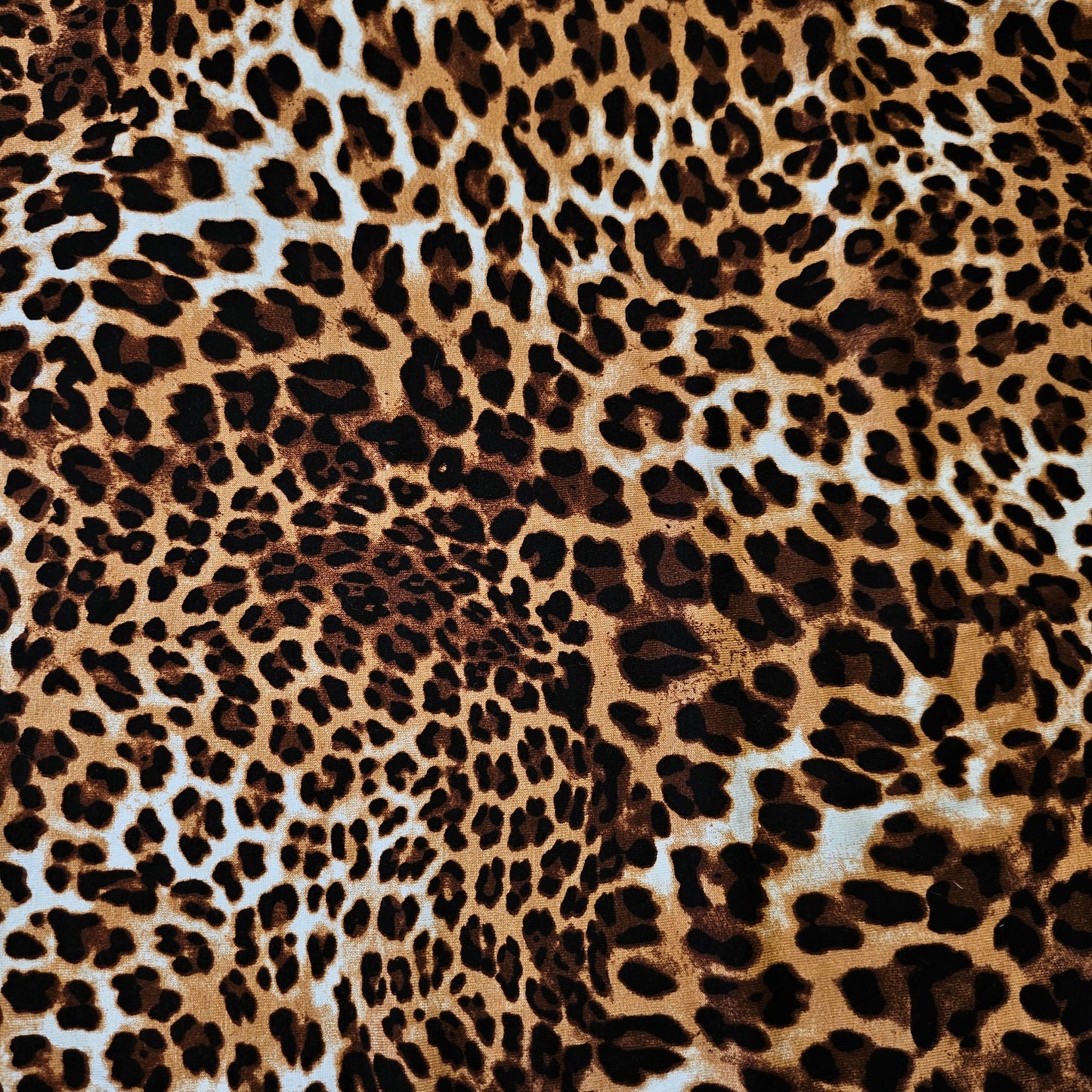 Baumwolle, Viskose, Jersey · 155 cm 190g/m2