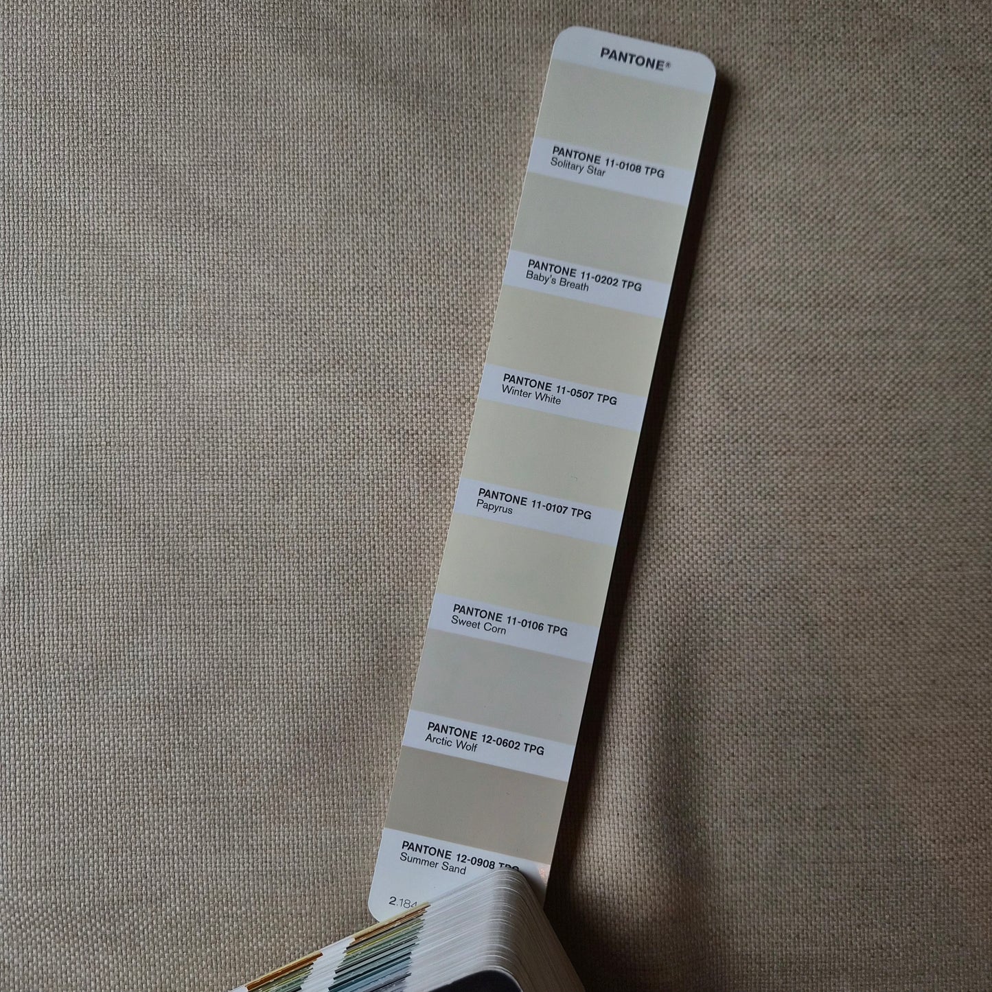 Meterware · Anzugstoff · Leinen, Kaschmir · Pantone Summer Sand · 155 cm · 300 g/m²