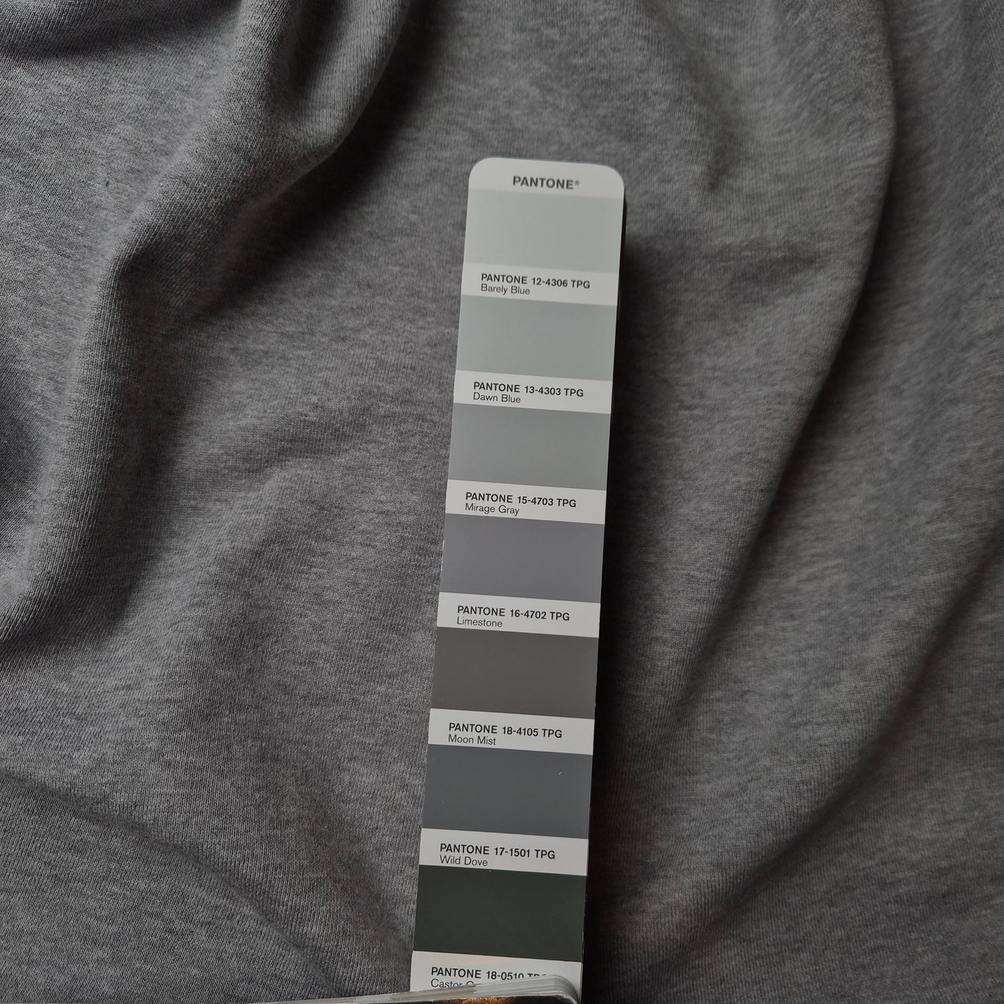 Einzelstück · Sweat · Baumwolle · Pantone Limestone · 180×170 cm