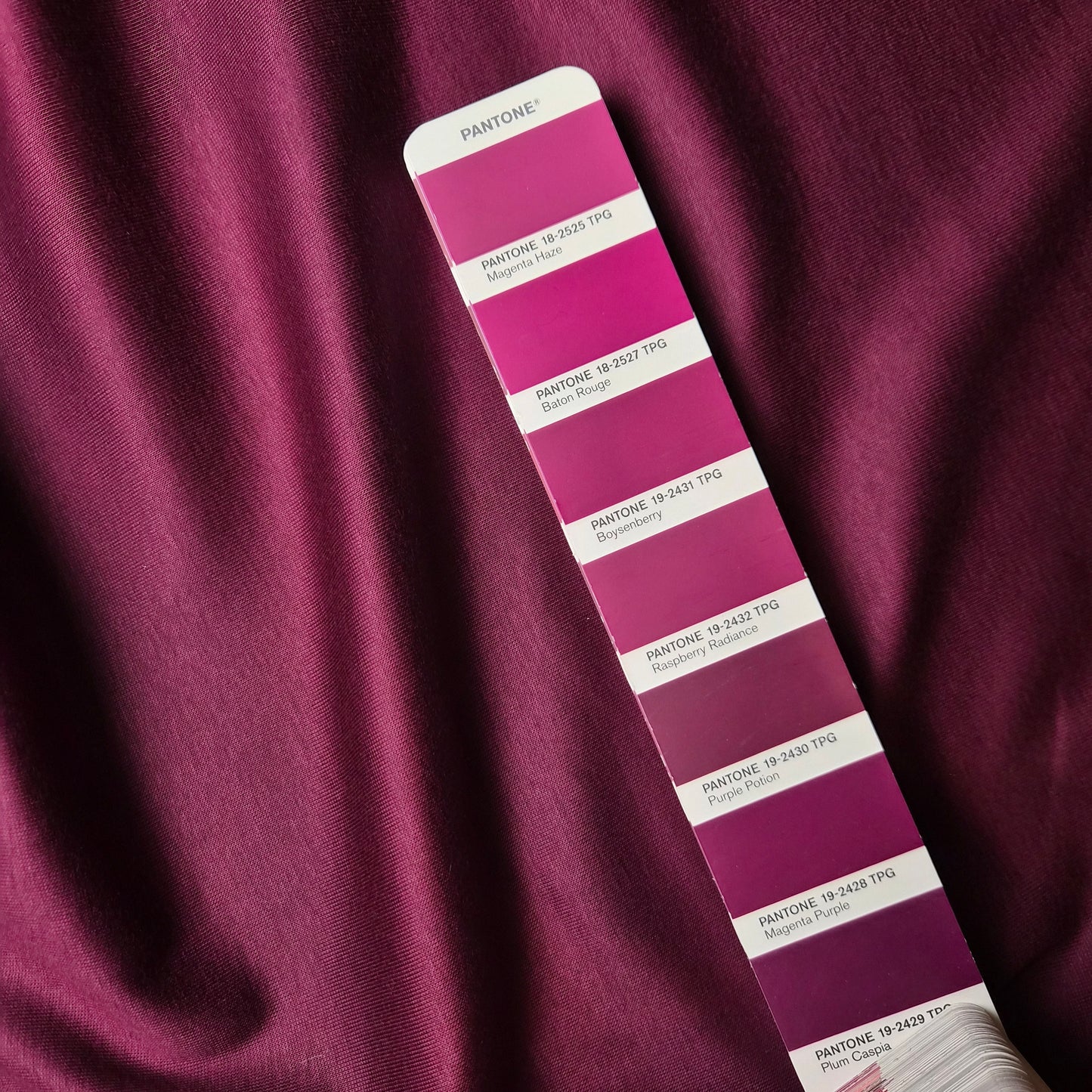 Jersey · Mercerisiert · Baumwolle · Uni · Pantone Purple Poison · 170 cm · Meterware