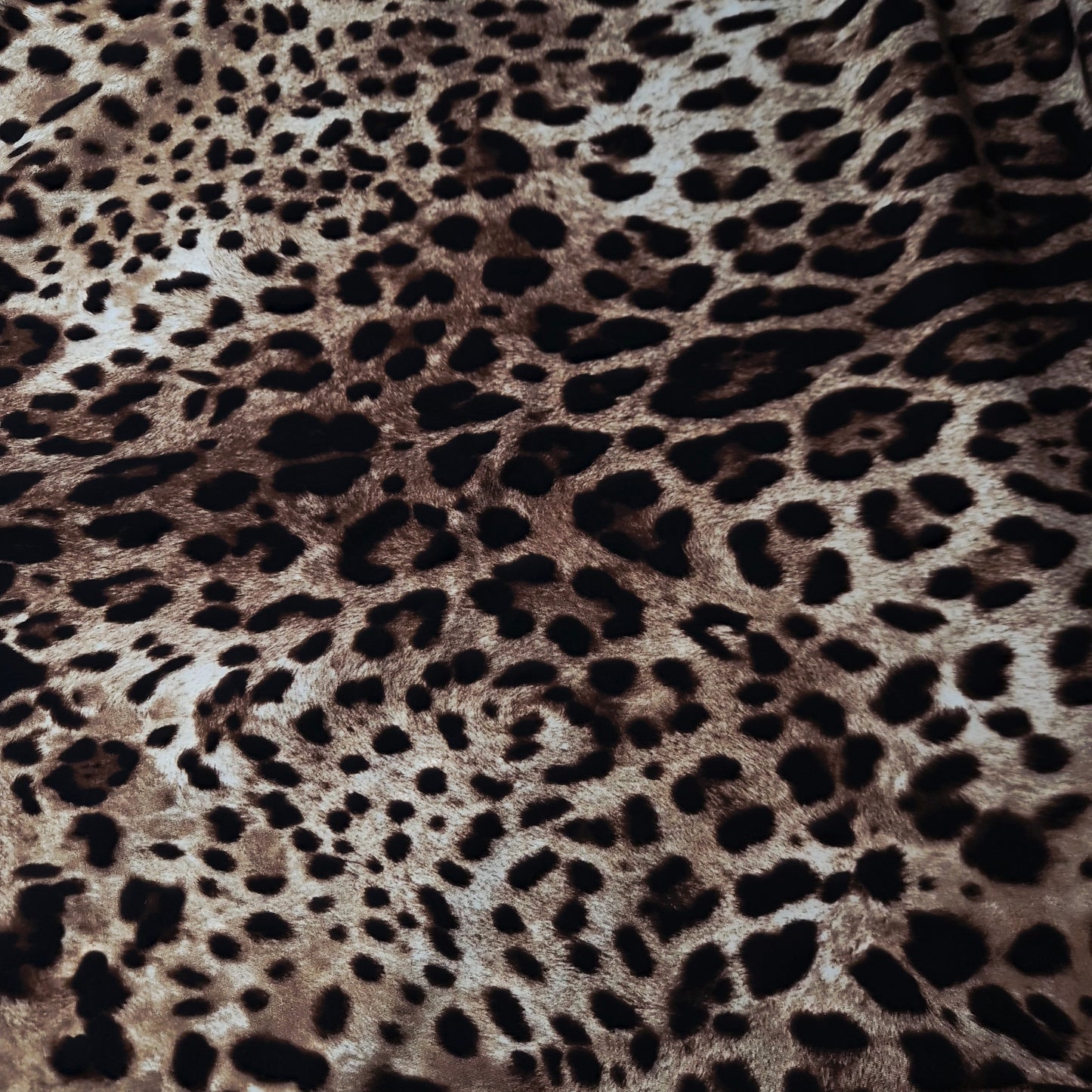 Meterware · Jersey · Baumwolle, Viskose · Animal · Mehrfarbig · 150 cm · 220 g/m²