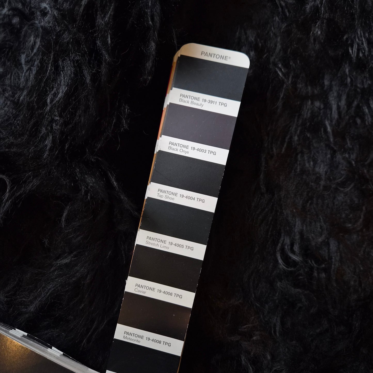 Wolle, Fake Fur, Black Beauty · 145 cm 480g/m2