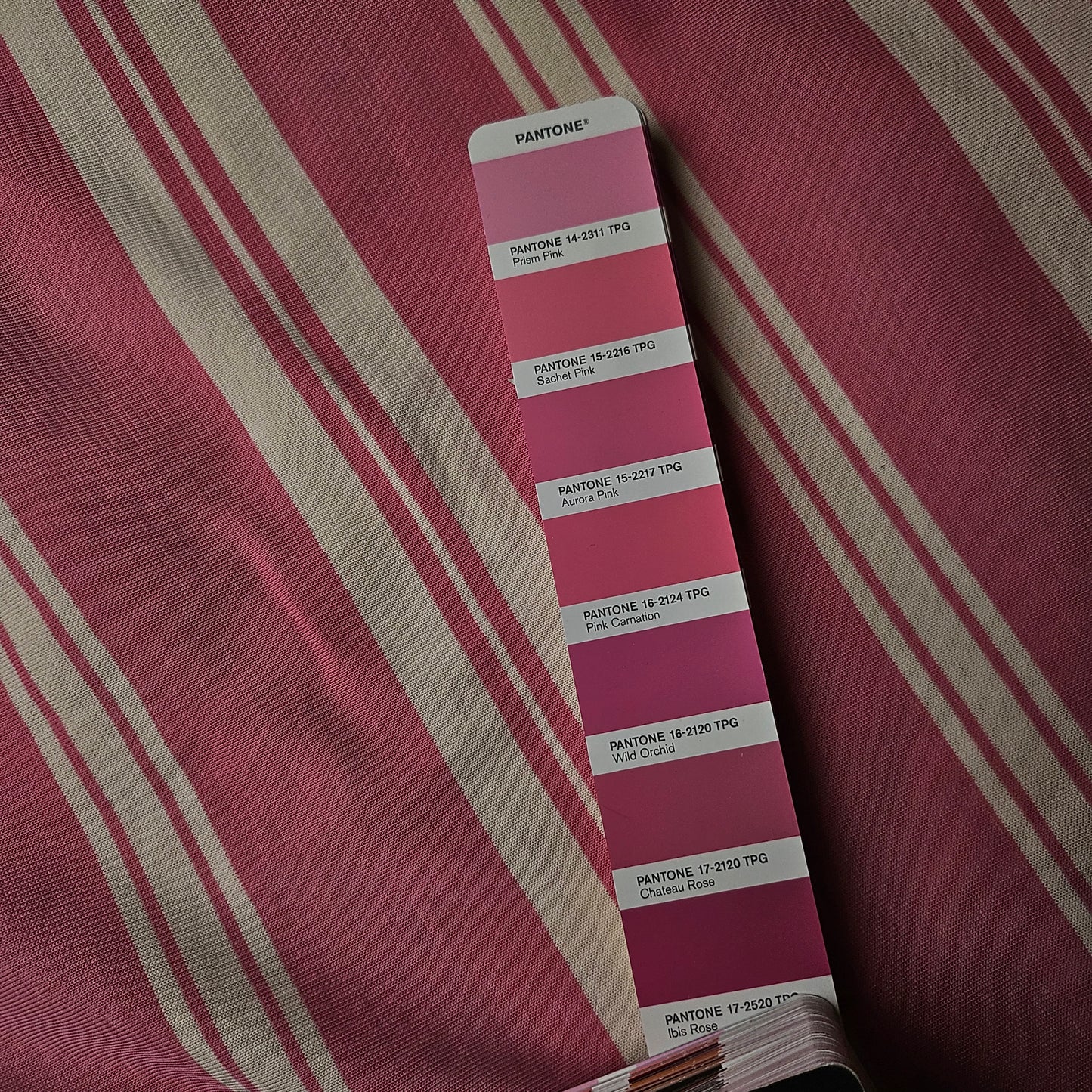 Meterware · Jersey · Schwer, ideal für Bündchen · Baumwolle · Pantone Sachet Pink · 180 cm · 310 g/m²