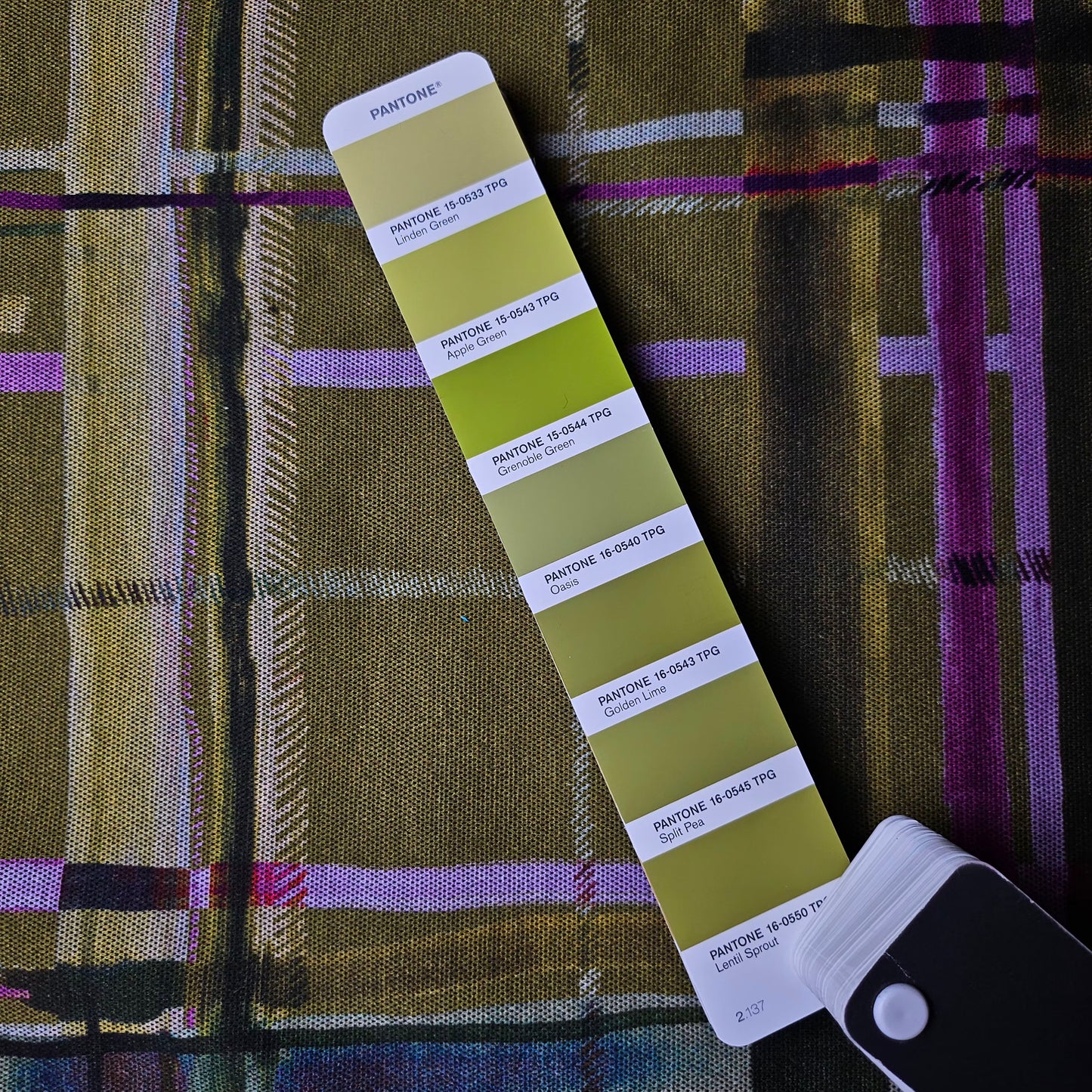Jackenstoff · Baumwolle · abstrakt kariert · Pantone Split Pea mit Abstrakten Karomuster · 155 cm · 260 g/m² · Meterware