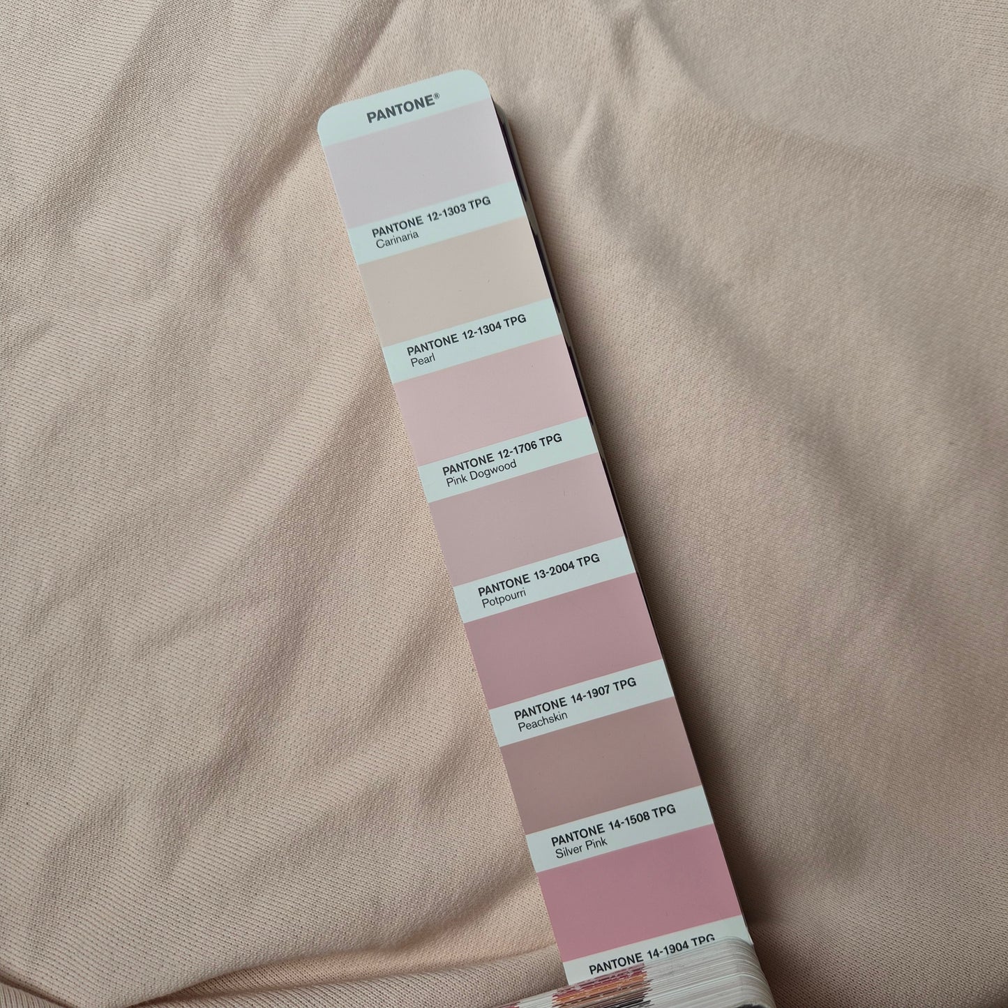 Kombipaket · Sweat & Bündchen · Baumwolle · Uni · Pantone Spruce · Stoff 120×190 cm · Bündchen 50×120 cm
