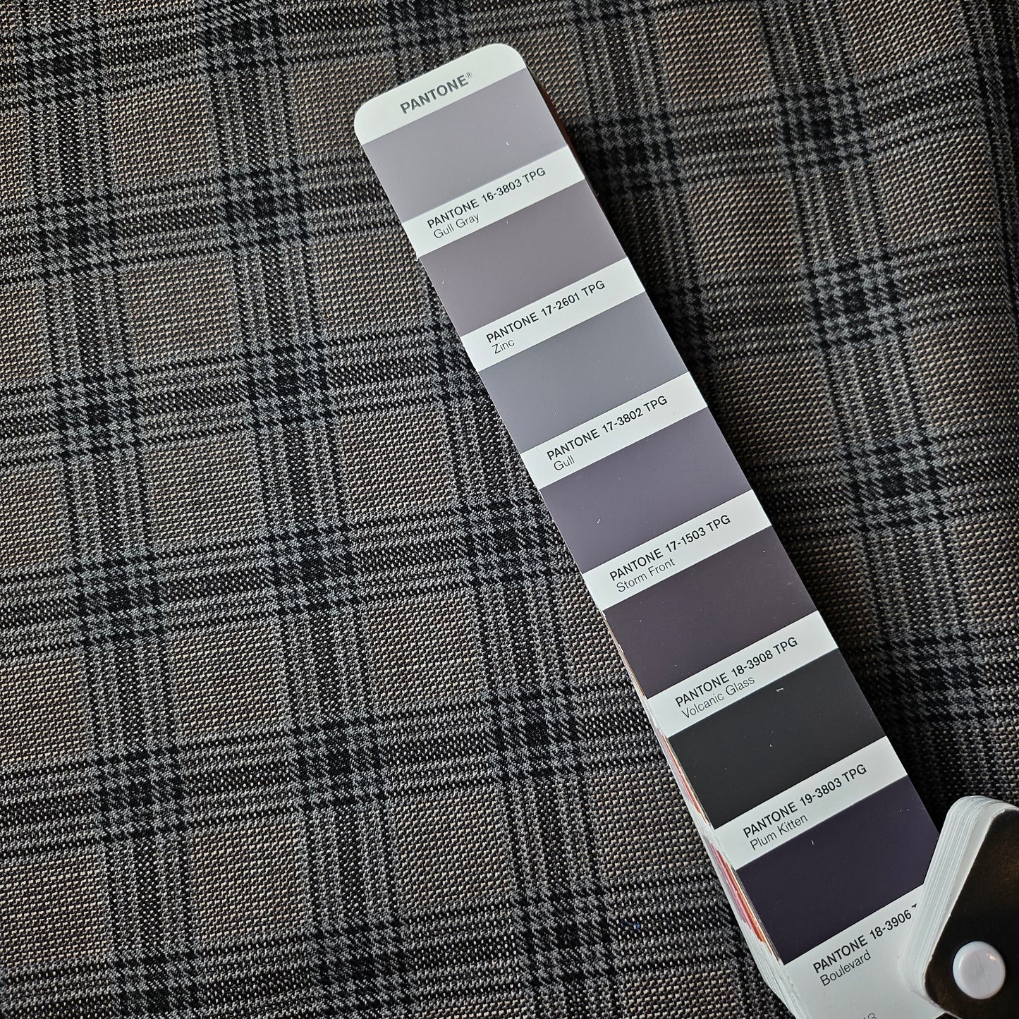 Anzugstoff · Wolle · kariert · Pantone Gull · 150 cm · Meterware