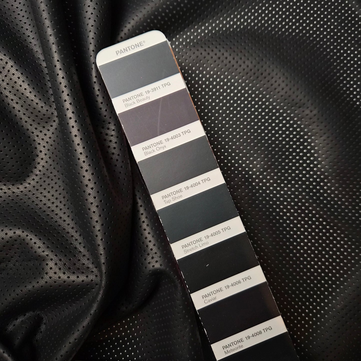Einzelstück · Ziegenvelours · Lasergeschnittenes Lochmuster · Leder · Geometrisch · Pantone Caviar · DIN A2
