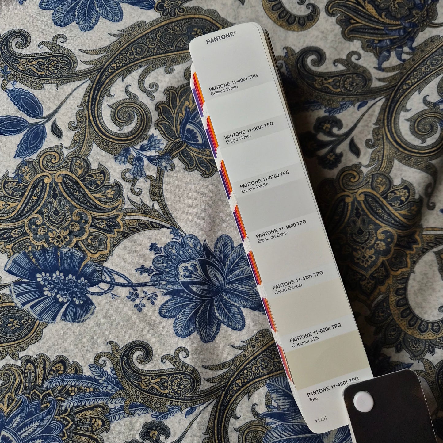 Jersey · Stretch · Baumwolle · Paisley · Pantone Blanc de Blanc, Grau- und Blautöne · 140 cm · 150 g/m² · Meterware