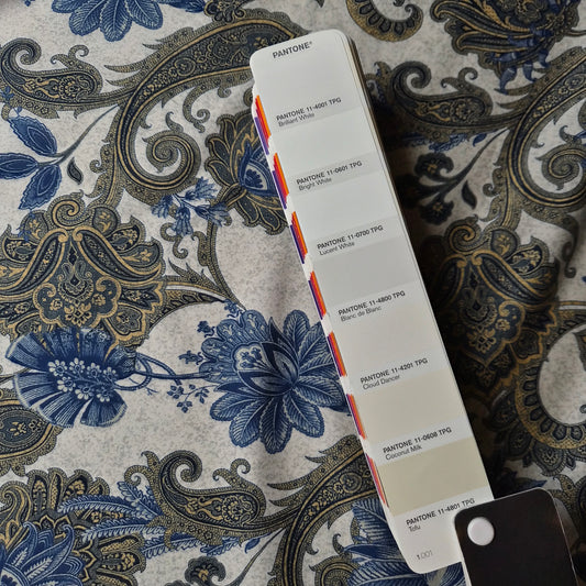Jersey · Stretch · Baumwolle · Paisley · Pantone Blanc de Blanc, Grau- und Blautöne · 140 cm · 150 g/m² · Meterware