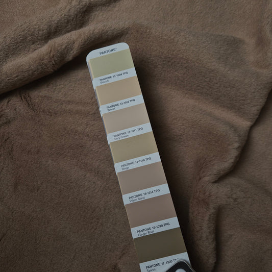 Einzelstück · Teddy · Wolle · Pantone Warm Sand · 100×140 cm