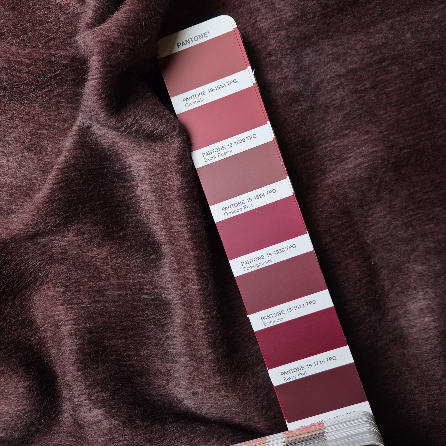 Mantelstoff · Fuzzy · Wolle, Mohair · Kariert · Pantone Zinfandel · 155 cm · 320 g/m² · Meterware