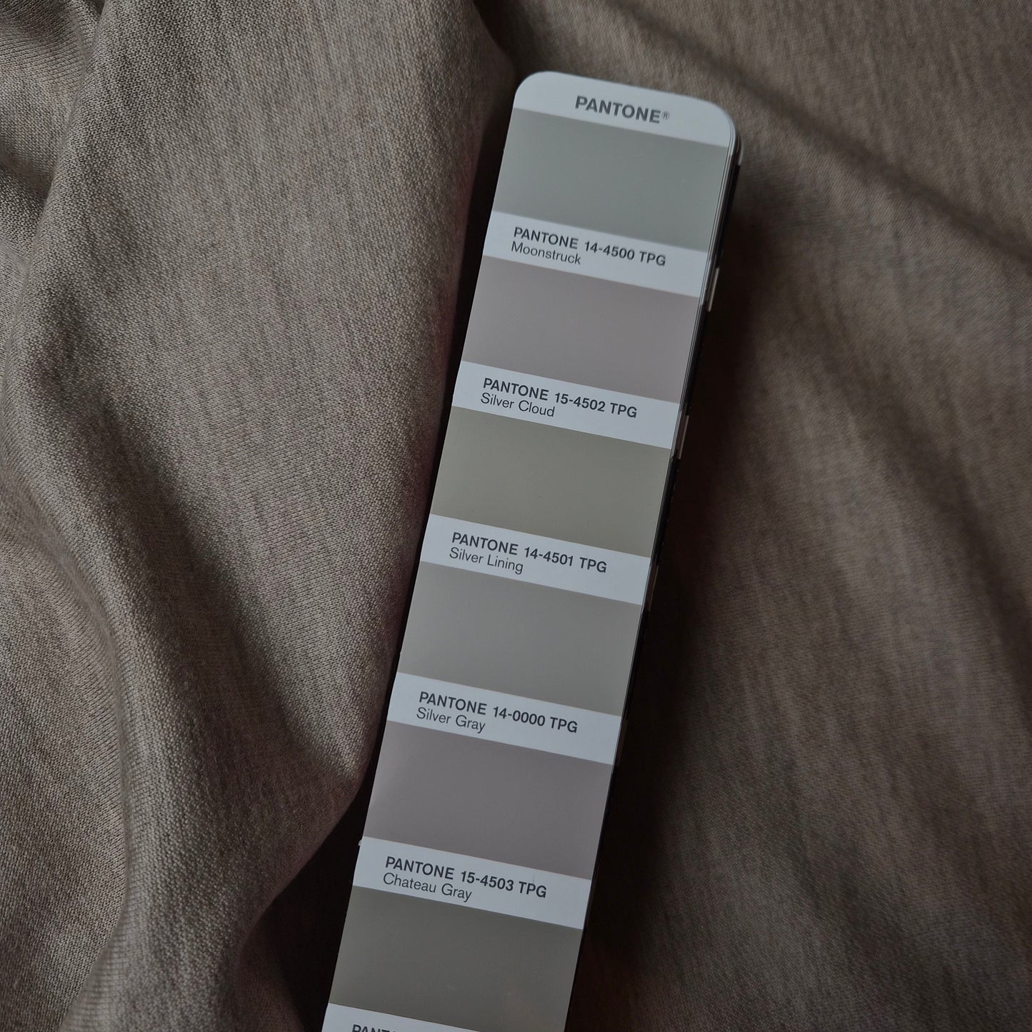 French Terry · Kaschmir · Uni · Pantone Silver Cloud · 140 cm · 230 g/m² · Meterware