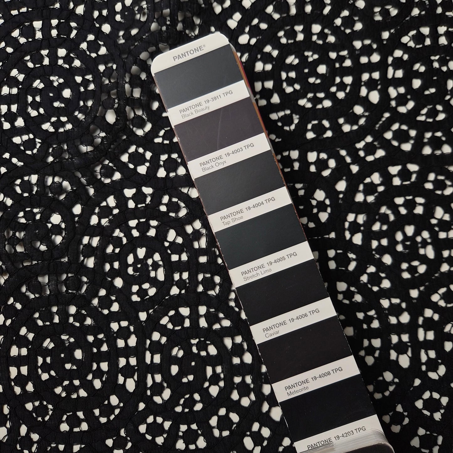 Spitze · Baumwolle · Floral · Pantone Moonless Night · 110 cm · Meterware