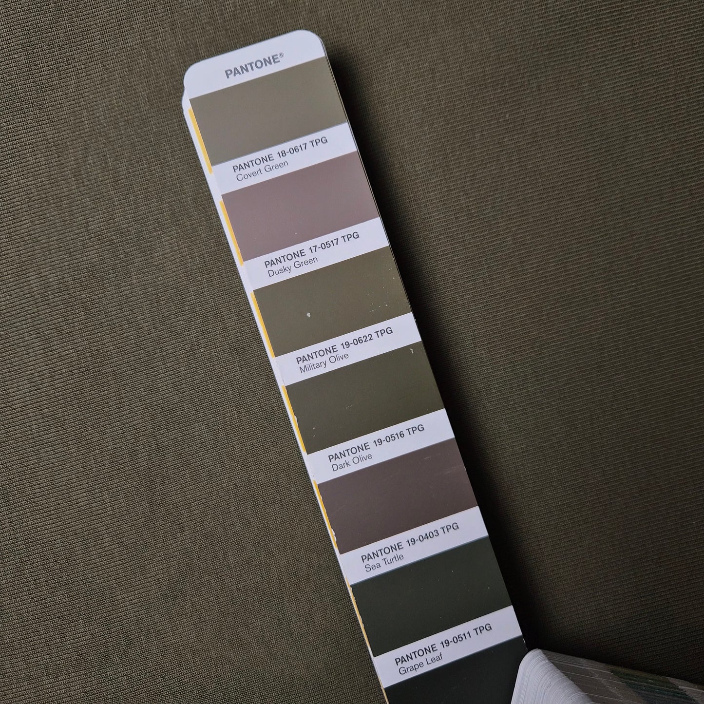 Ribstrick · Baumwolle, Elasthan · Melange · Pantone Dark Olive Matter · 100 cm · 350 g/m² · Meterware