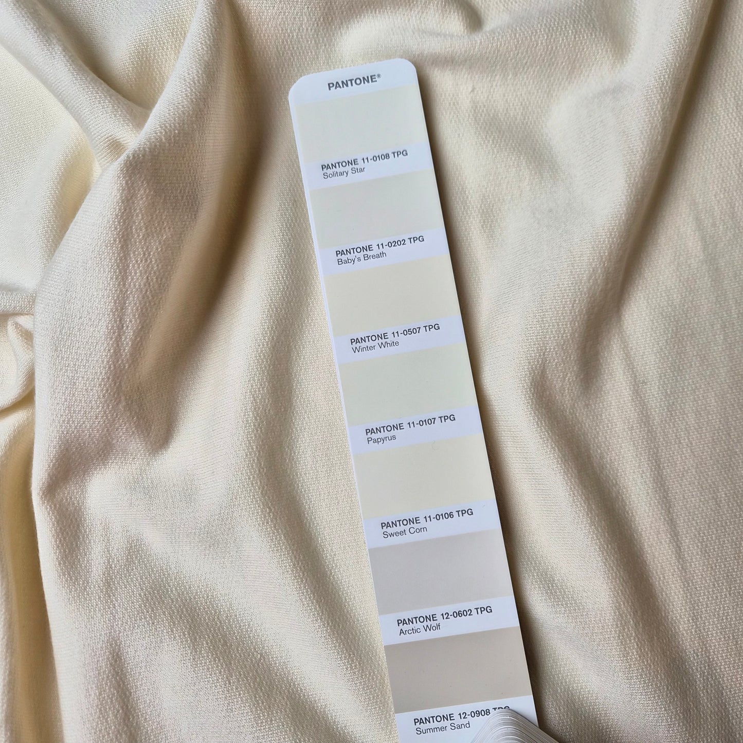 French Terry, Kaschmir, Pantone Winter White · 140 cm · 270 g/m²