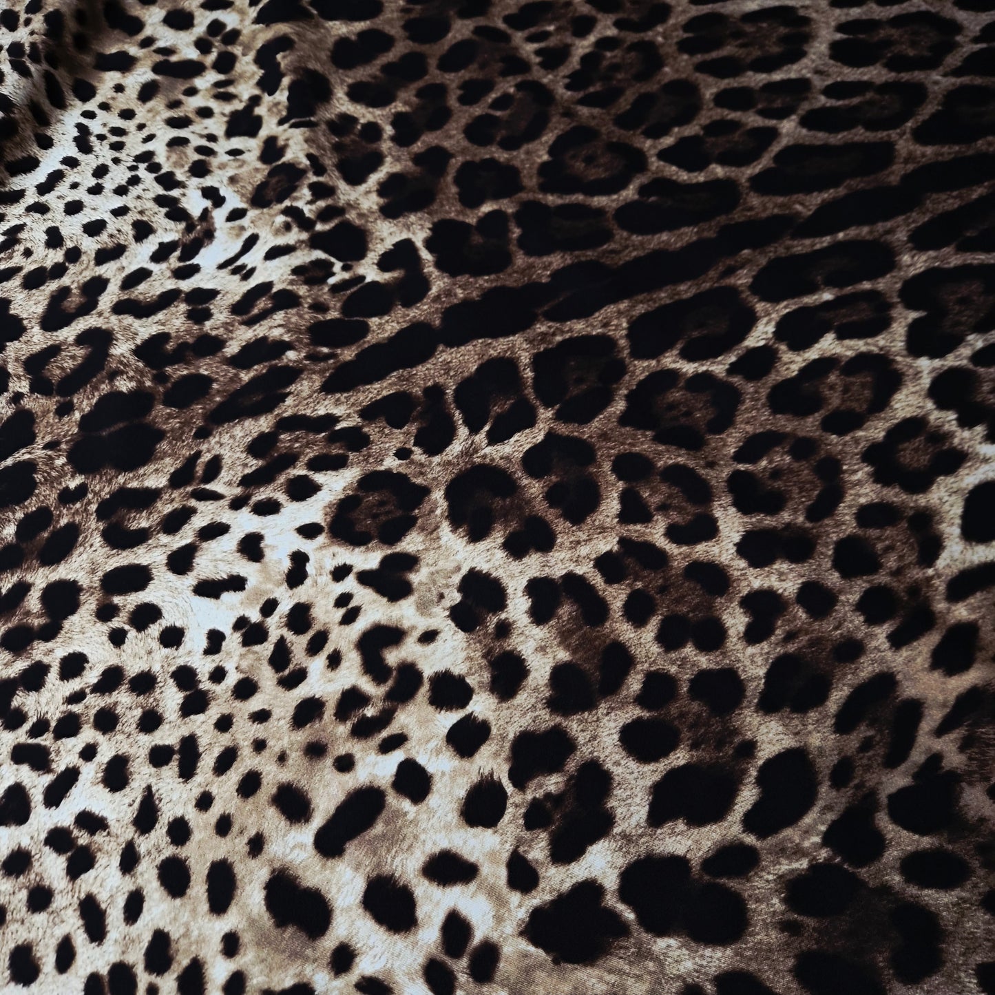 Jersey · Baumwolle · Leo · Beige und Brauntöne · 140 cm · 200 g/m² · Meterware