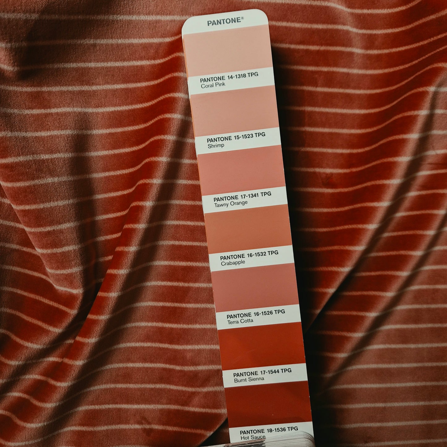 Samt · Baumwolle 64%, Viskose 36% · Gestreift · Pantone Burnt Sienna · 150 cm · 250 g/m² · Meterware