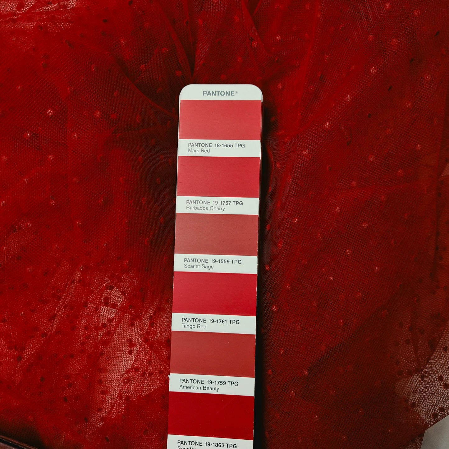 Einzelstück · Tüll · Plumetis · Polyester · Punkte · Rot · 115×140 cm