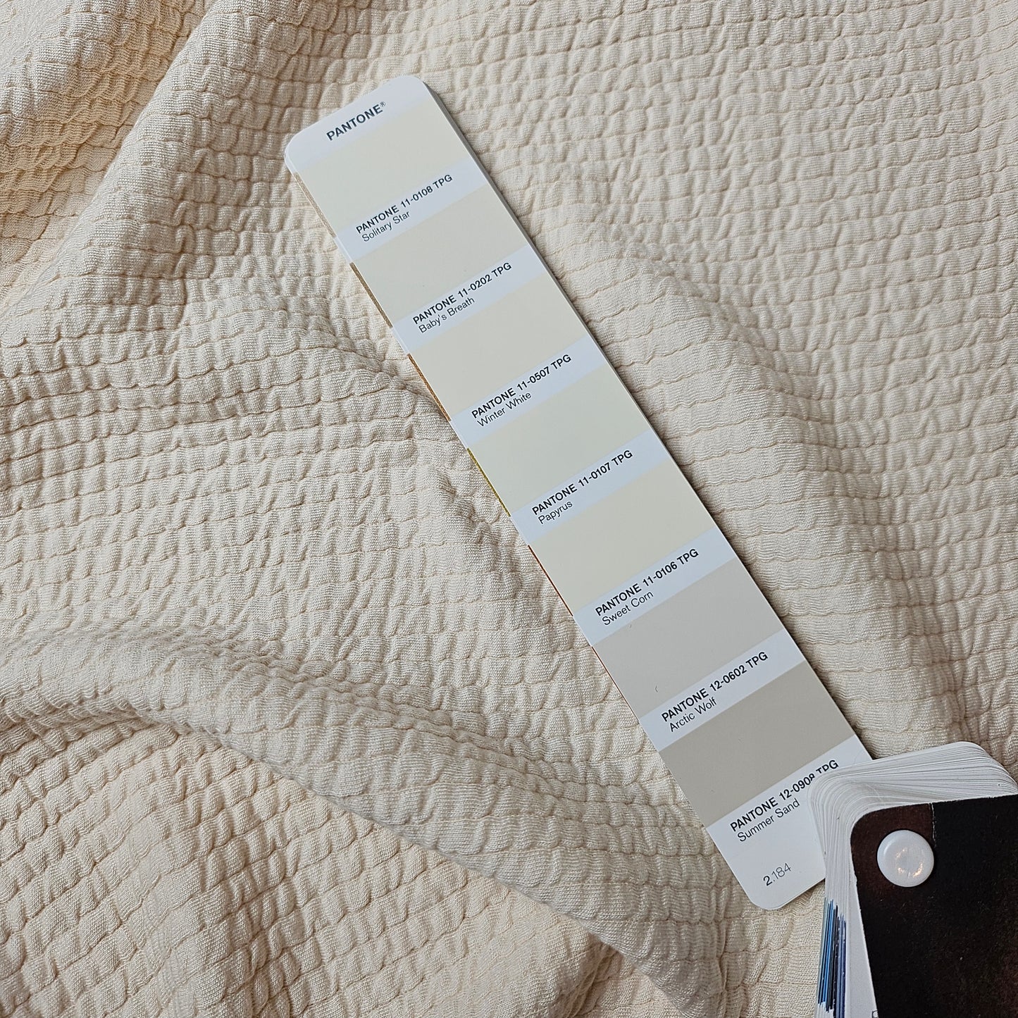 Jersey · Doubleface · Geriffelt · Pantone Baby Breath · 145 cm · 370 g/m² · Meterware