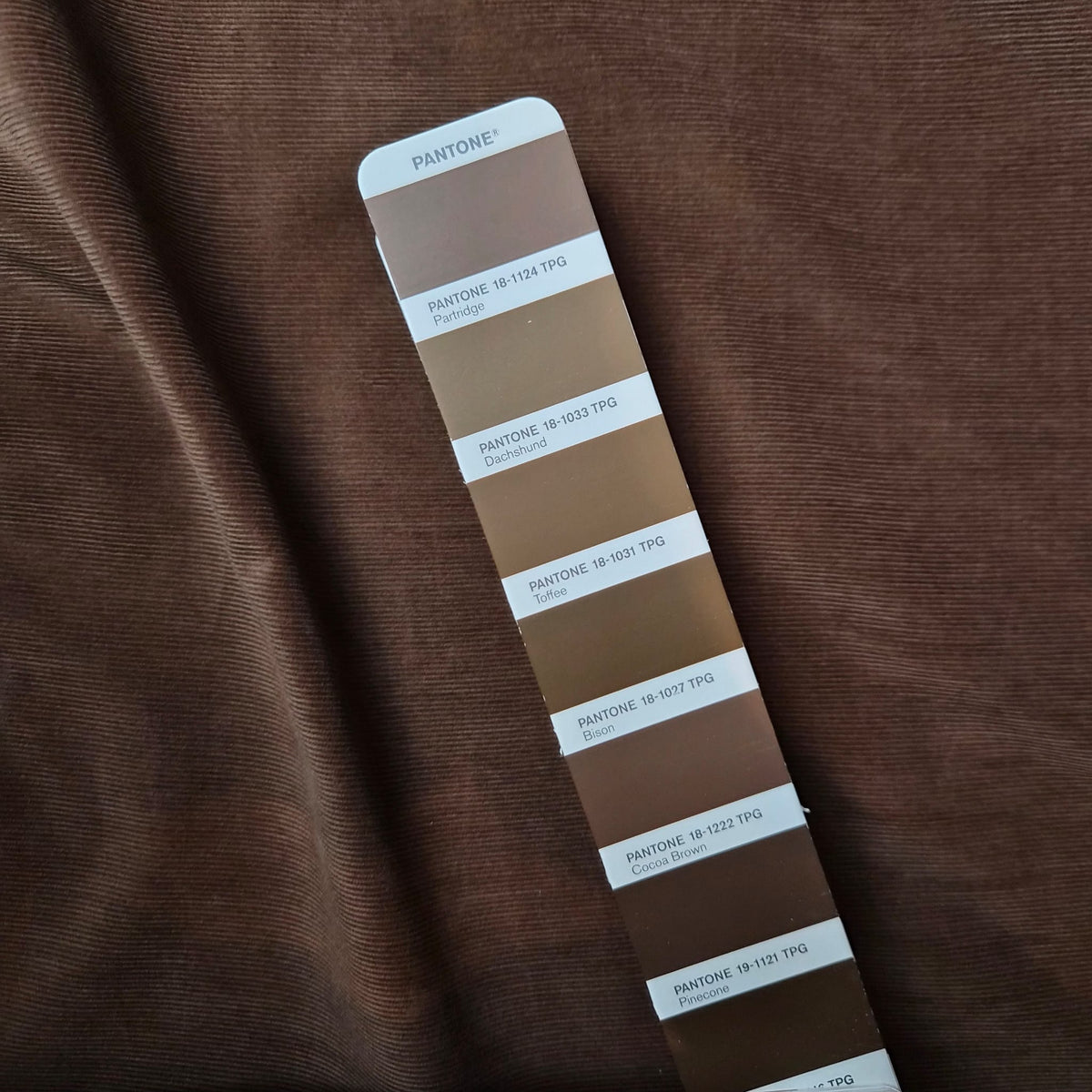 Meterware · Cord · Baumwolle · Uni · Pantone Cacoa Brown · 150 cm · 190 g/m²