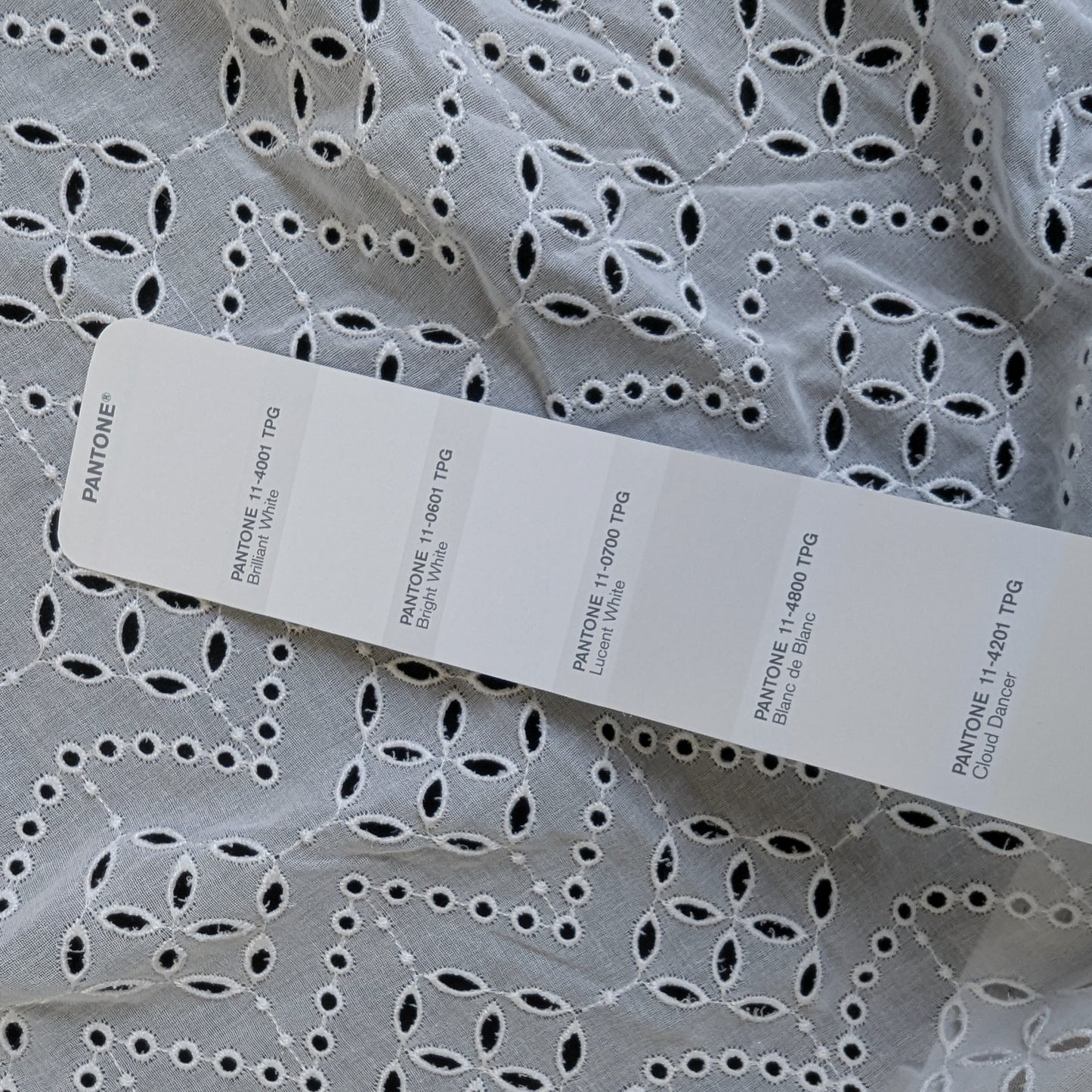 Sangallo · Bestickt · Baumwolle · Floral · Pantone Brilliant White · 120 cm · Meterware 130g/m2