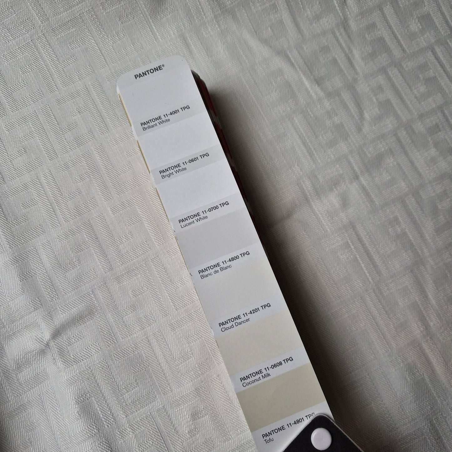 Baumwolle, Samt · 70×80 cm