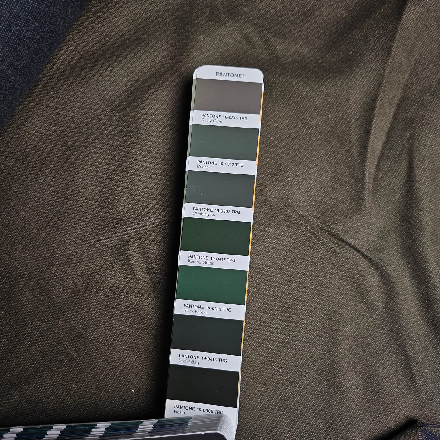 Meterware · Flanell, Baumwolle, Pantone Dusty Olive, Uni, Doubleface, Gebürstet · 150 cm · 250 g/m²