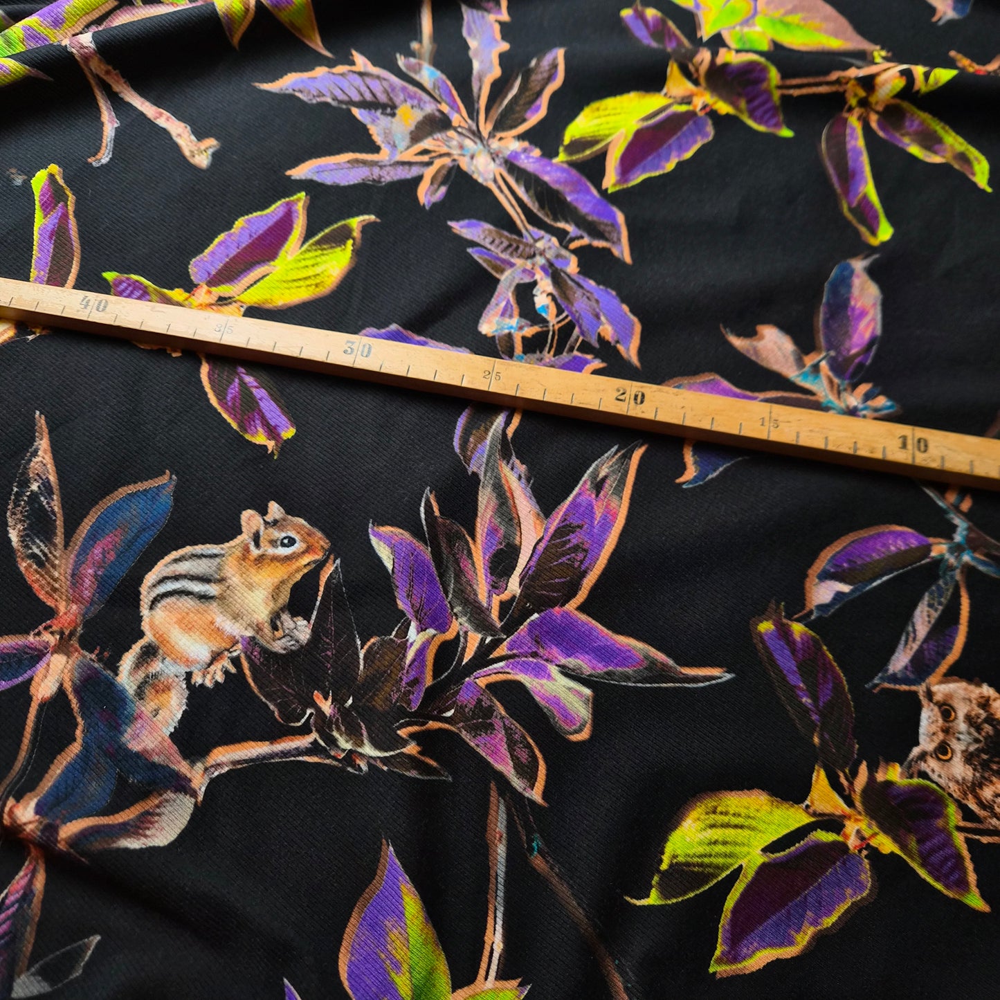 Feinripp · Baumwolle, Elasthan · Tiermuster · Schwarz und Lilatöne · 120 cm · 170 g/m² · Meterware